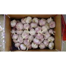 Red Garlic 10kg carton, 10kg / caixa